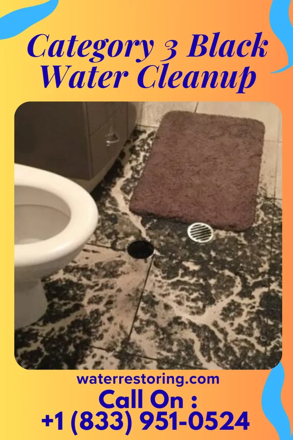 Category 3 Black Water Cleanup in Tyler, TX